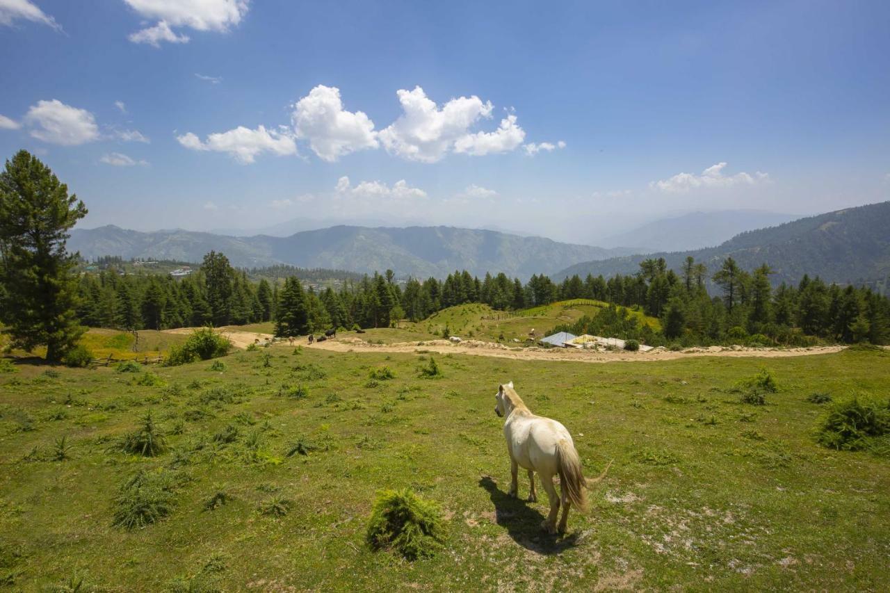 Zostel Homes Kotkhai Šimla Exteriér fotografie